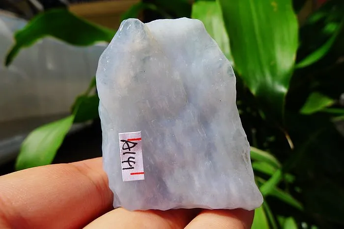 Natural Jade Rough Jadeite Raw (41g,5.2X3.7X1.4cm)