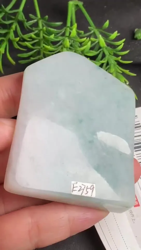 Natural Jade Rough Jadeite Raw (6.5x5.2x1.0cm)-E2759